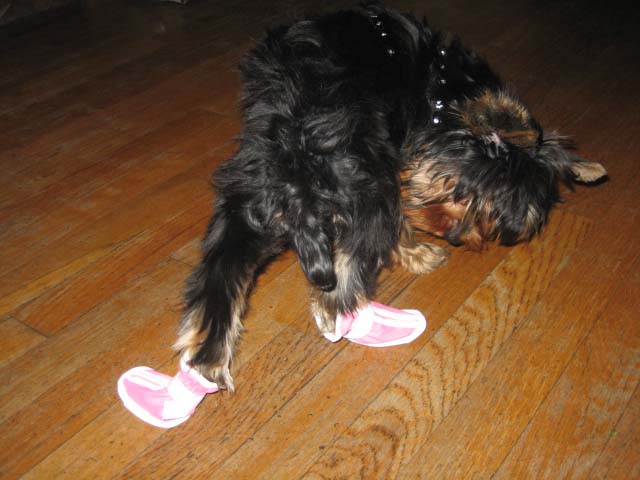 boots.jpg