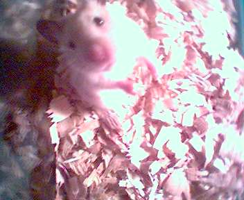 0819_012245.jpg