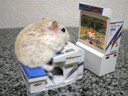 untitled.JPG