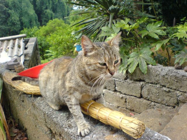 16.07.2006_027.jpg