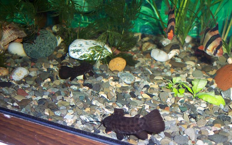 100_1357.JPG