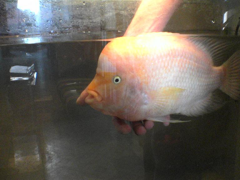 DSC00383.JPG