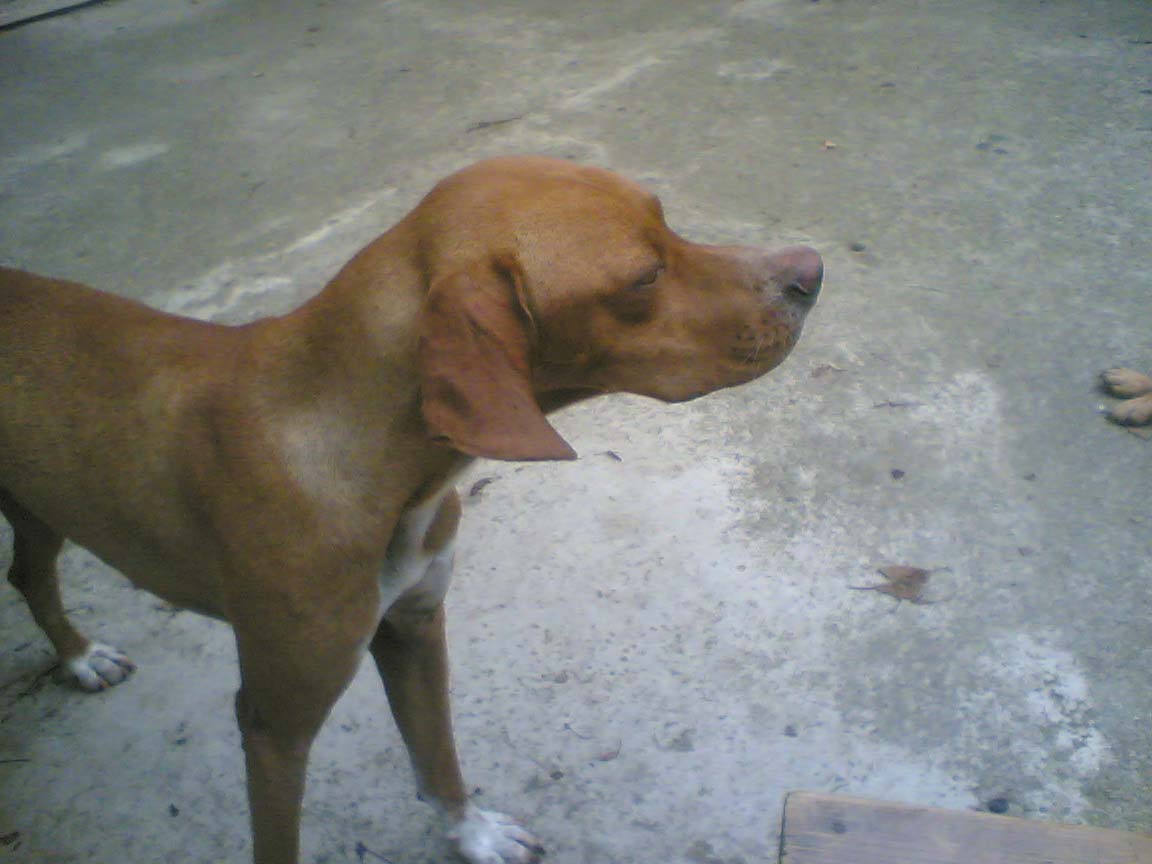 Image_427_.jpg