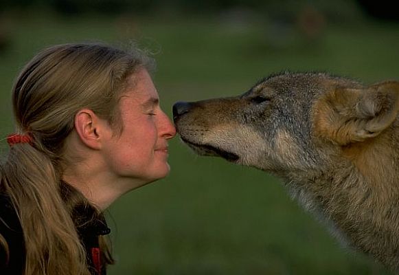 wolfe9.jpg