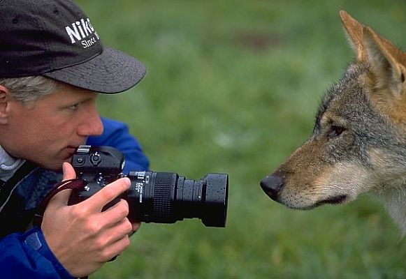 wolfe25.jpg