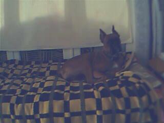 Picture_008_1_