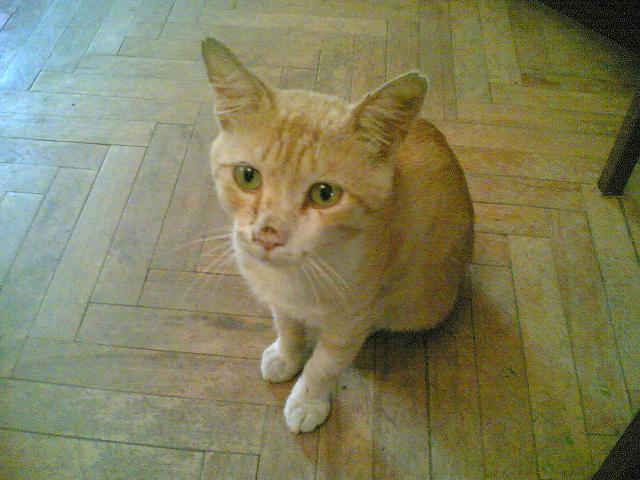 01212005_001_.jpg