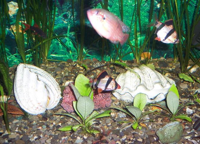 100_1534.JPG