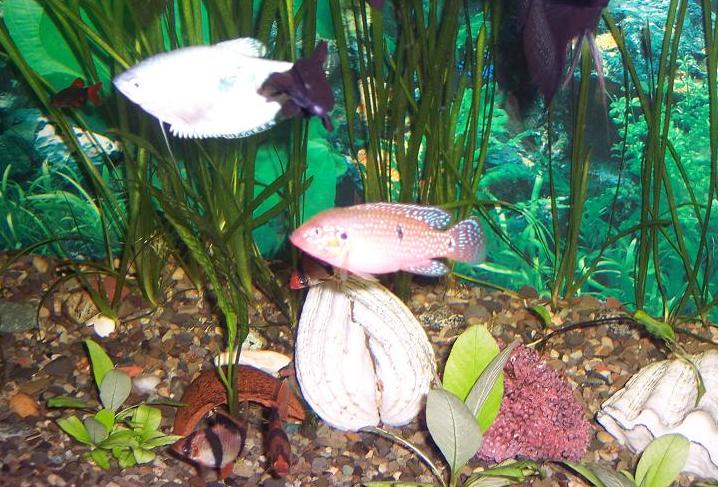 100_1535.JPG