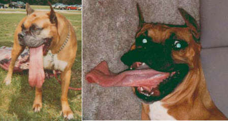 tongue.jpg