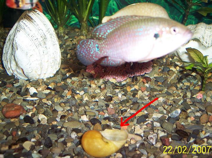 100_1712.JPG