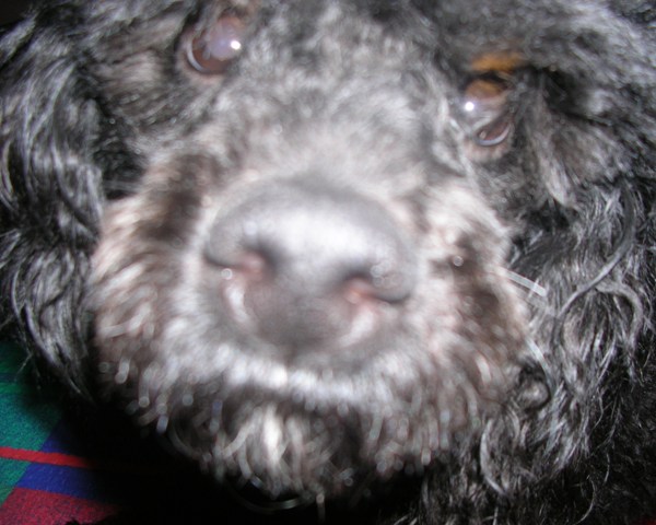 DSCN0865.JPG