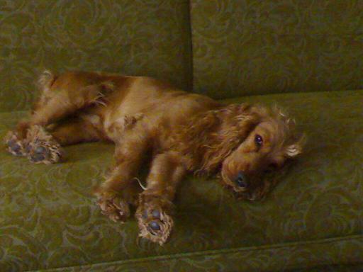 060420071274.jpg