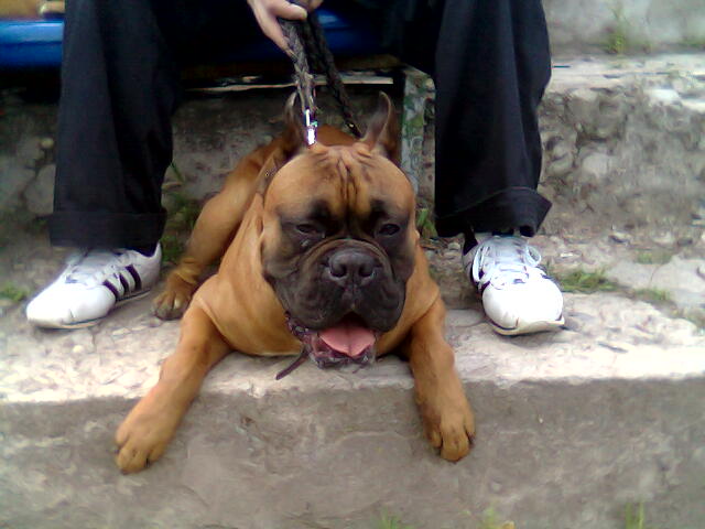 foto_01.jpg