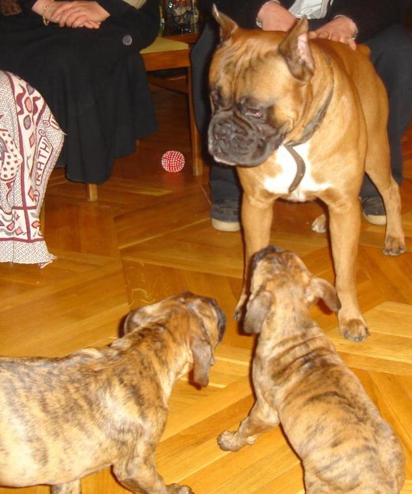 Picture_021.jpg