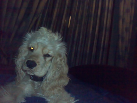 06032007390.jpg