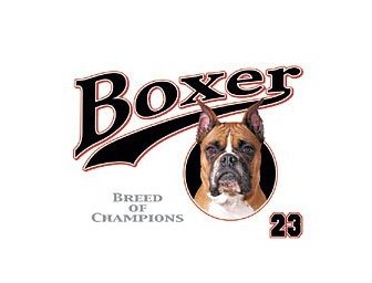 boxer.jpg