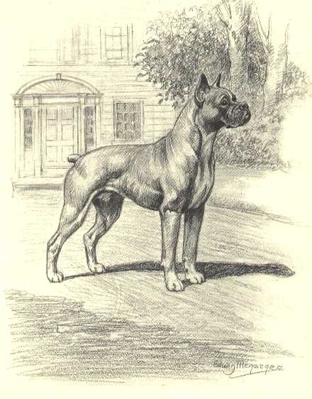 bx27513.jpg