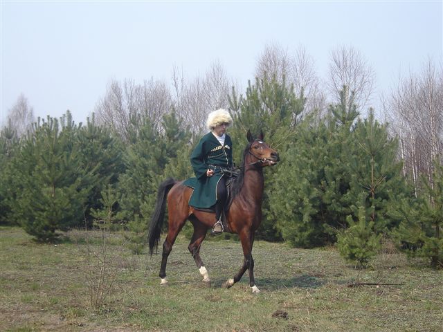 Obraz_922.jpg