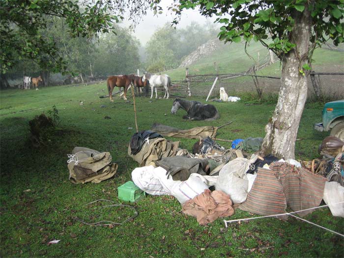 camp2.jpg
