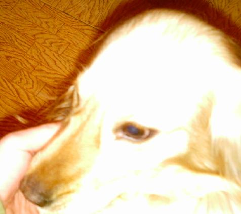 PHOT0017.JPG