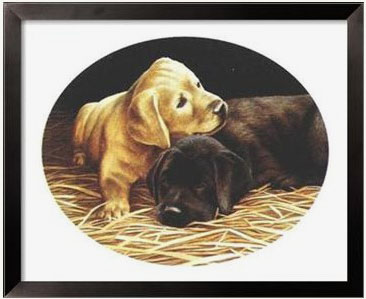 dogs.jpg