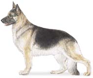 gsd.jpg