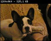 post_72_1180194957.jpg