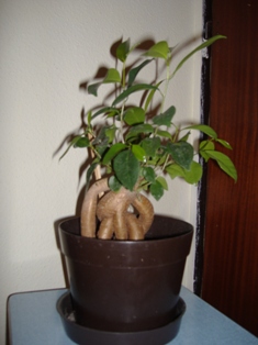 DSCF0076.JPG