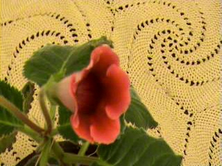 Video_4.avi_000004240.jpg