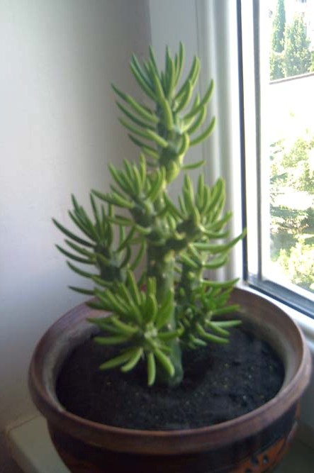 Picture_063123.jpg
