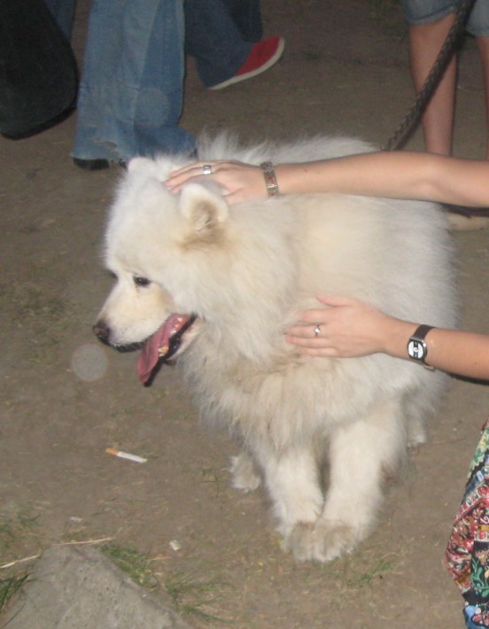 Copy_of_Picture_340.jpg