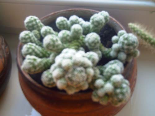 Picture_824.jpg