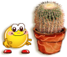 9e85854287316c7362240fbef67a5625.gif
