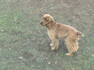 08_11_07_1349.jpg