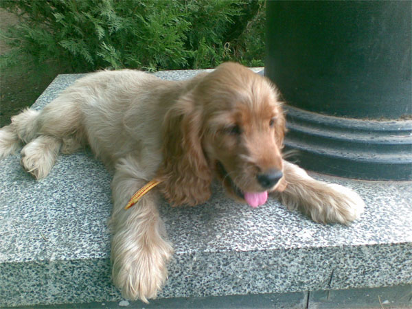 22012007276.jpg