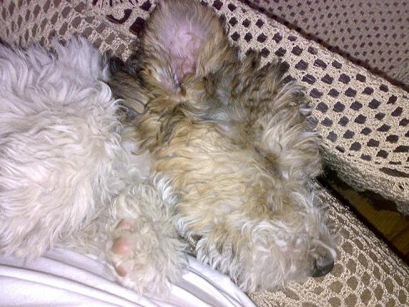 Foto308.JPG