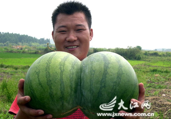 china_conjoined_water_melon.jpg