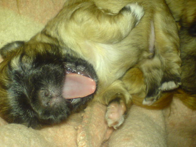 DSC01575.JPG