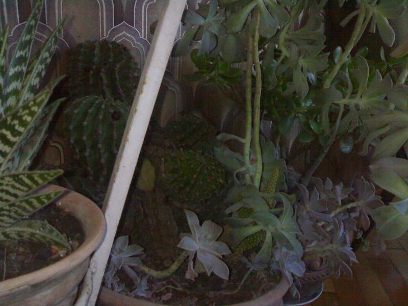 052920072401.jpg