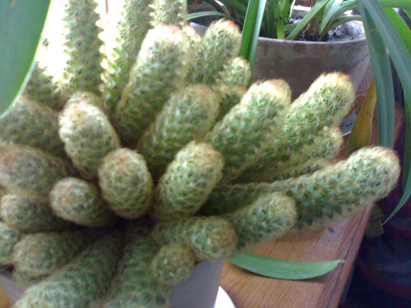 060120072417.jpg