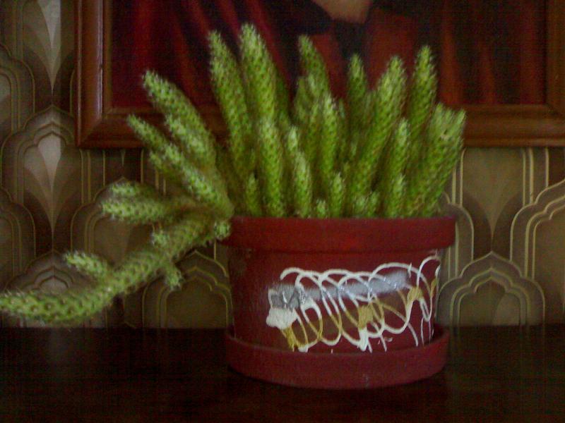 052920072396.jpg
