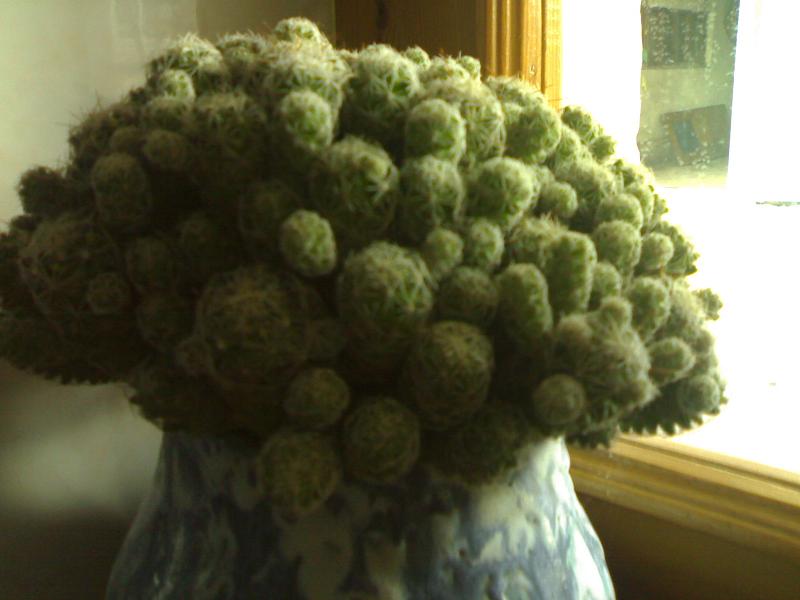 060120072420.jpg