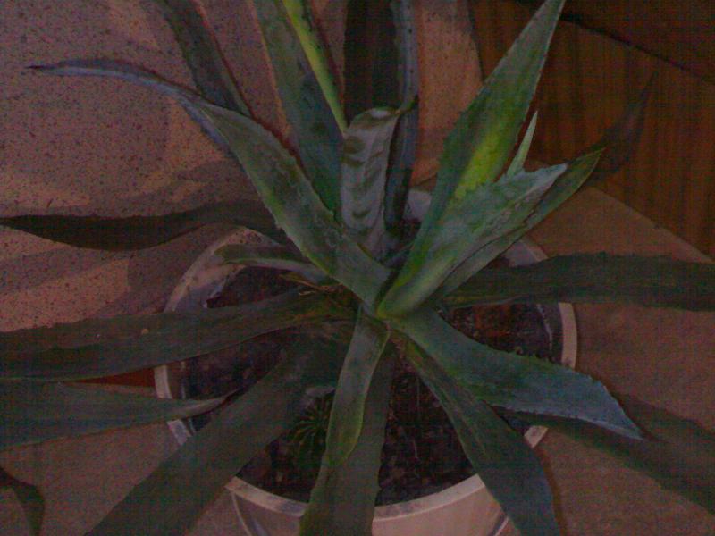 052920072394.jpg