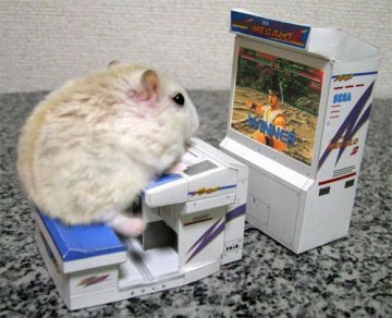Hamster_Video_Game_Maze.jpg
