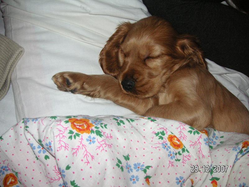 PICT0297.JPG