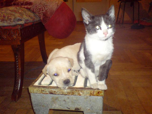 DSC02256__Small_.JPG