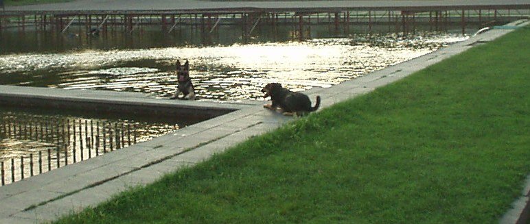 P1010013.JPG