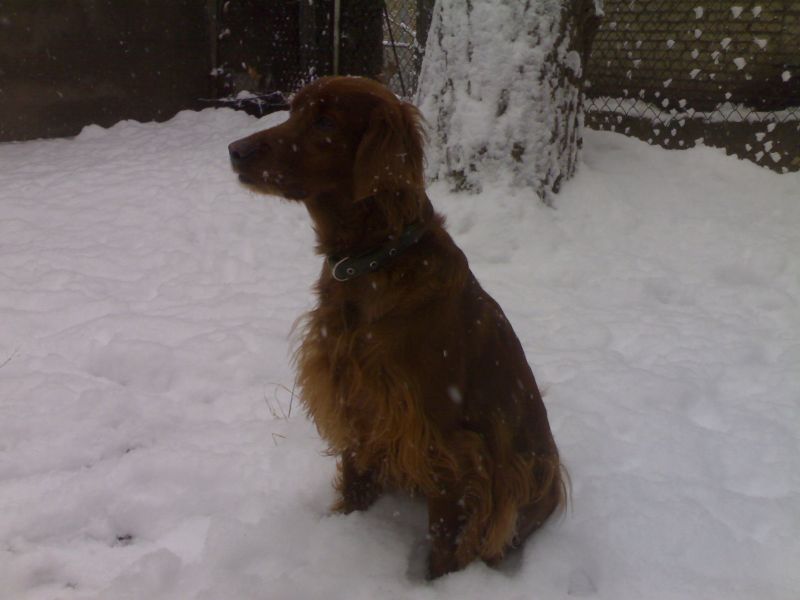 200801055311111.jpg