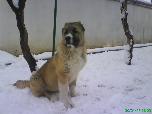 DSC00777.JPG